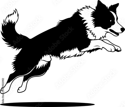Border collie silhouette vector illustration