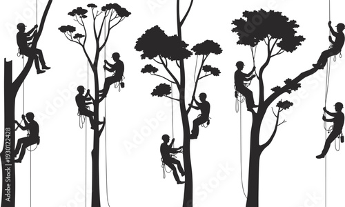 Tree Climbing Silhouettes, Arborists Working in Forest, Rope Safety Techniques, Outdoor Adventure, Tree Maintenance, Nature Preservation Illustration