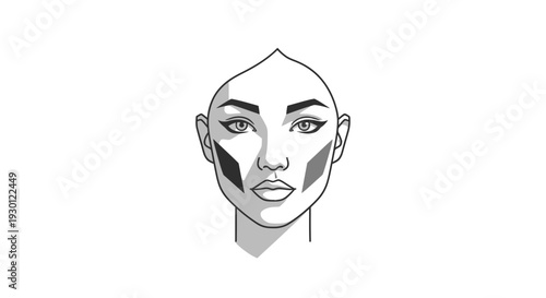 Modern vector illustration of a woman's face highlighting contouring makeup techniques with