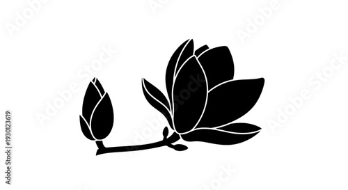 Elegant black silhouette of a magnolia bloom and bud on a graceful stem botanical design