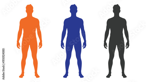 Three colored human silhouettes standing side by side isolated on white background, Vector