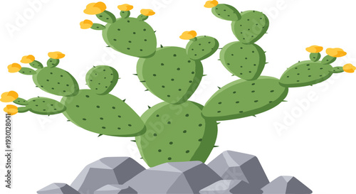 Vibrant prickly pear cactus vector illustration with yellow flowers and green pads growing among grey rocks for desert and botanical designs.