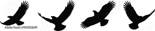 Black silhouettes of eagles flying in the sky, wild bird of prey icons, soaring hawk wing spans, isolated vector.