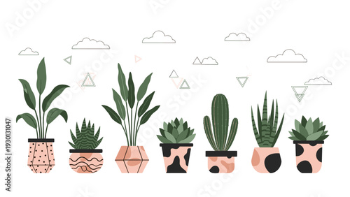 Collection of indoor house plants in various stylish patterned pots including succulents and snake plants for home interior decor.