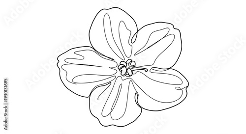 Continuous line drawing of a delicate flower with five petals, minimalist botanical illustration