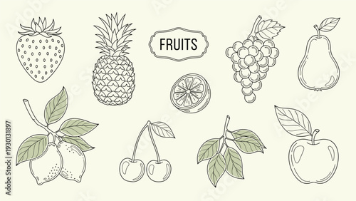 Collection of hand drawn fruit sketches including pineapple and strawberry and apple and grapes with soft green accents on cream.