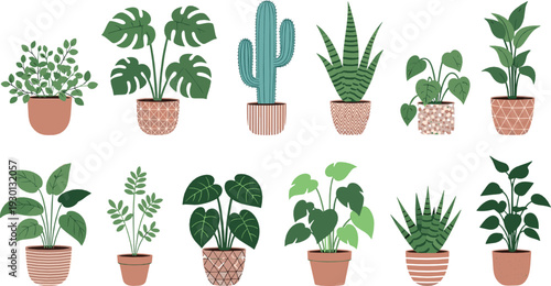 Indoor potted plants set – modern houseplants collection with monstera, cactus and tropical greenery