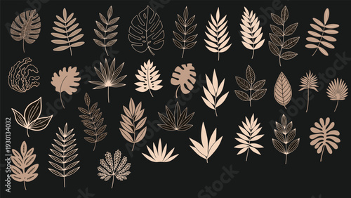 Collection of diverse tropical leaf silhouettes and line drawings in earthy tones is arranged neatly against a dark black background.