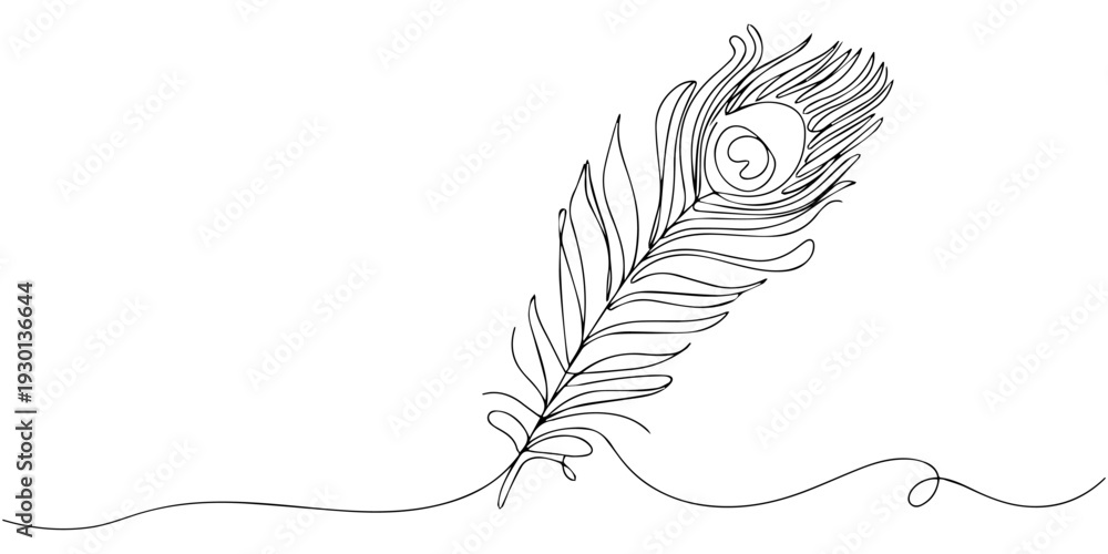 Obraz premium Feather's Grace: A delicate, single-line illustration captures the elegance and beauty of a peacock feather, showcasing its intricate detail.