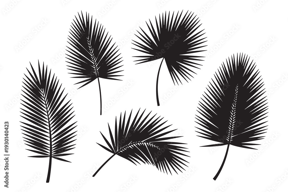 Fototapeta premium Set of tropical palm tree leaves in black silhouette on white background