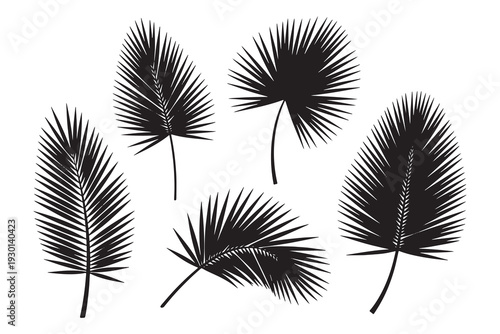 Set of tropical palm tree leaves in black silhouette on white background
