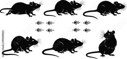 Rat silhouette set, rodent animal collection with paw prints, mouse pest control icons, wildlife vector outlines for nature and biology graphic design
