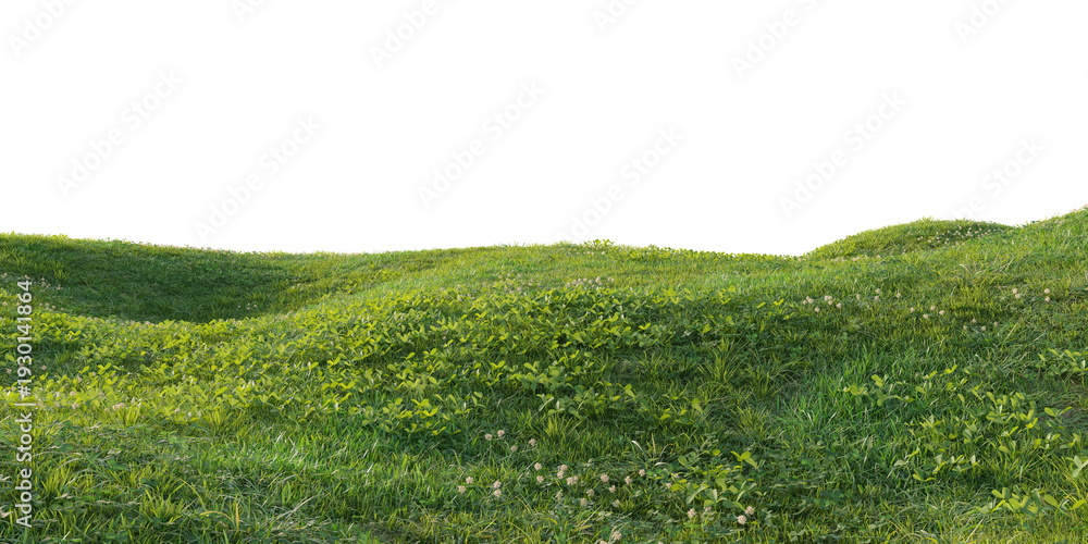 Fototapeta premium Hills with grass on a transparent background. 3D rendering. 