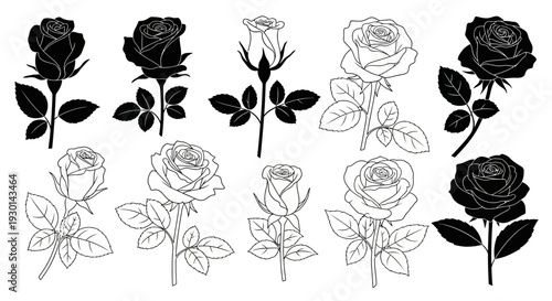Collection of stylized vector illustrations of roses, featuring both silhouette and outline designs with leaves and stems for artistic and decorative purposes