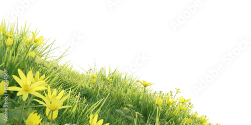 Cuadro en lienzo Verdant Hill Blooming with Yellow Flowers in Spring. 3D render.