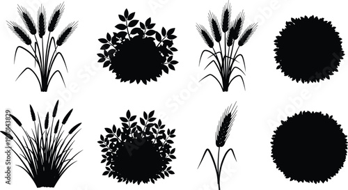 Bush and grass silhouette set, wheat stalks and shrub collection, botanical nature vector outlines, vegetation icons for garden and field graphic design projects