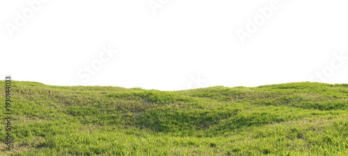 Panel kuchenny z motywem Hills with grass on a transparent background. 3D rendering.  