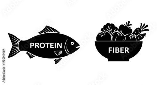 Balanced nutrition illustrated by protein and fiber sources Vector, illustration