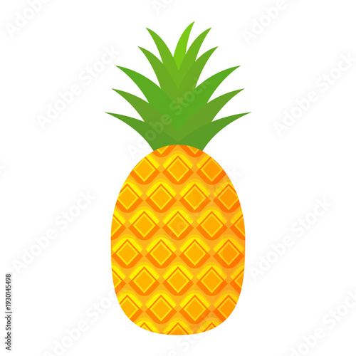 Fresh pineapple fruit illustration, summer pineapple fruit theme. Summer design for holiday promotion and printed on clothing.