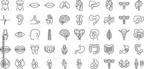 Human anatomy line icons set, medical body organs outline vector collection, healthcare anatomy symbols, minimal black white illustration