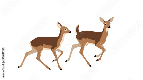 Two graceful brown deer running across a white background representing wildlife, nature, and free movement in the wild.