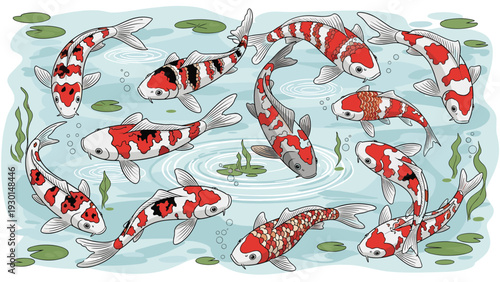 Numerous colorful koi fish with red, white, and black patterns swim together in a clear pond with lily pads and ripples.