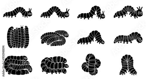 Collection of various caterpillar silhouettes in different poses and shapes on white background