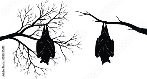 Black vector silhouette of bats hanging upside down from tree branches for concepts of nature wildlife halloween night and branding