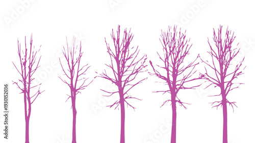 Illustration of trees in different stages of growth