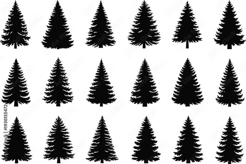 Fototapeta premium Black vector silhouette set of pine and spruce trees for concepts of nature forest winter Christmas outdoors wilderness and branding