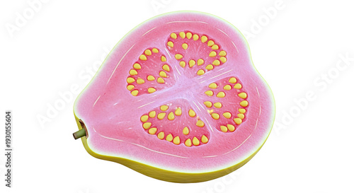 Half of a Pink Guava with Yellow Seeds