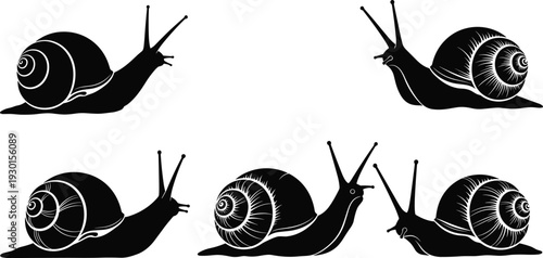 Garden snail silhouette set isolated on white background detailed gastropod vector collection