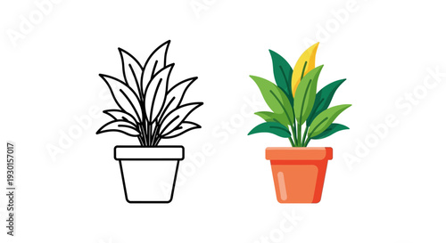 A potted houseplant illustration in two distinct styles, one as a simple outline drawing and the other as a vibrant, colorful flat design, perfect for home decor concepts and indoor gardening themes.