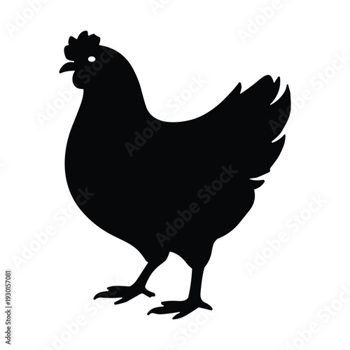 Silhouette of Standing Chicken Bird