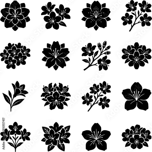 16 Premium Black Azalea Flower Icons - Wedding & Botanical Graphic Elements. Vector Illustration. Design Element. Clip art. Suitable for artwork design. Editable for any design.