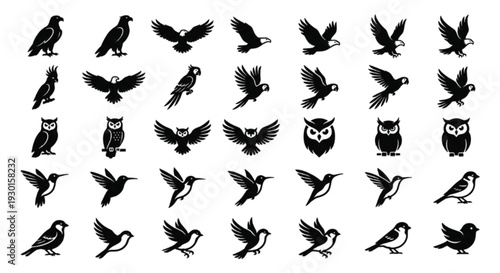 Collection of 48 bird silhouettes, vector icons isolated.