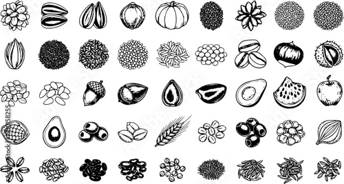 Hand-drawn vector icons of various seeds, nuts, grains, beans, fruits, and vegetables in black and white sketch style for food and nutrition.
