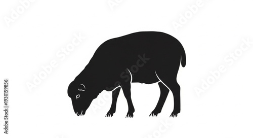 Bison Silhouette Grazing on Ground.