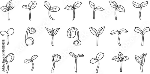 Seedling and Sprout Illustrations: A Collection of Germinating Plant Designs