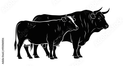 Black and White Bull Illustration.