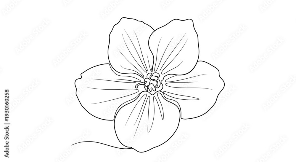 Fototapeta premium Simple Line Drawing of a Five-Petaled Flower
