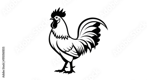 Black and White Rooster Illustration.