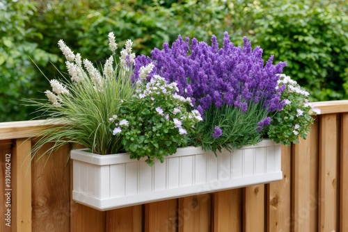 Lavender and plants blooming in white window box