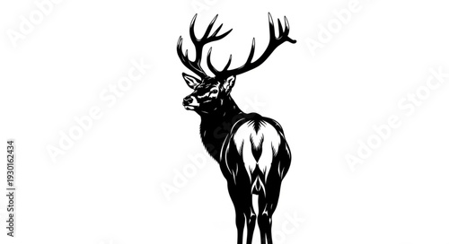 Black and White Deer Illustration.