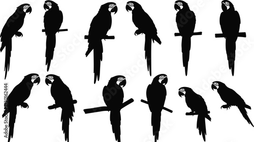 Parrot silhouette set with perched tropical birds detailed vector isolated on white background