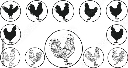 Rooster and chicken silhouette collection farm poultry icons set isolated on white background