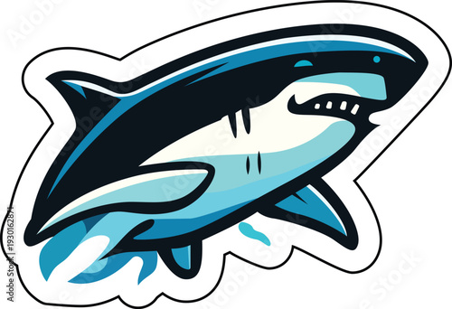 shark vector illustration