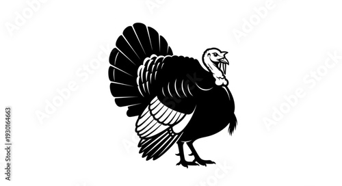 Black and White Turkey Illustration.