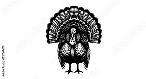 Black and White Turkey Illustration.