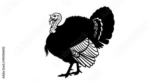 Black and White Turkey Silhouette.